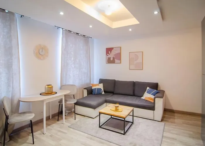 Apartment T2 A Deux Pas De La Celebre Place Stanislas *