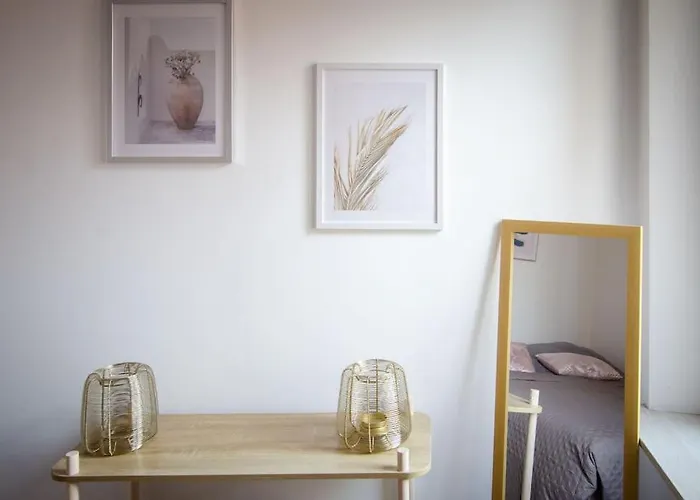 Apartment T2 A Deux Pas De La Celebre Place Stanislas Nancy